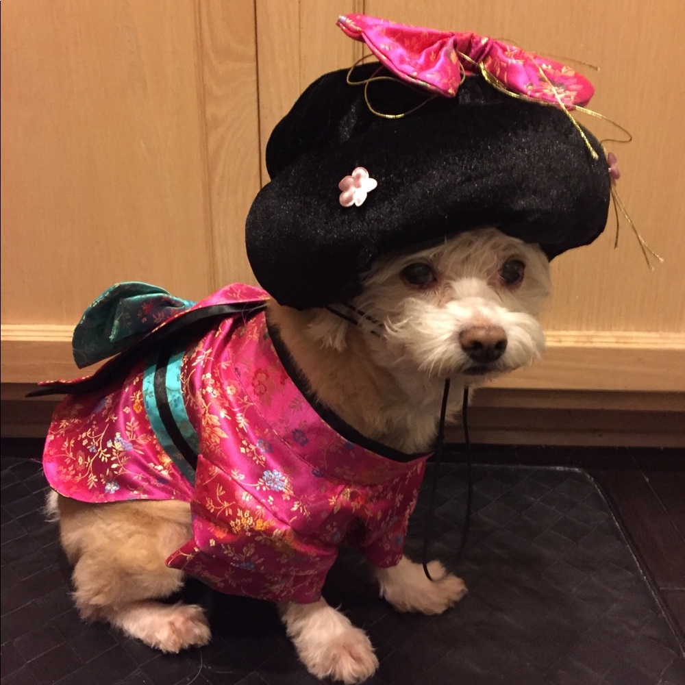 Meet your Posher, Stacy